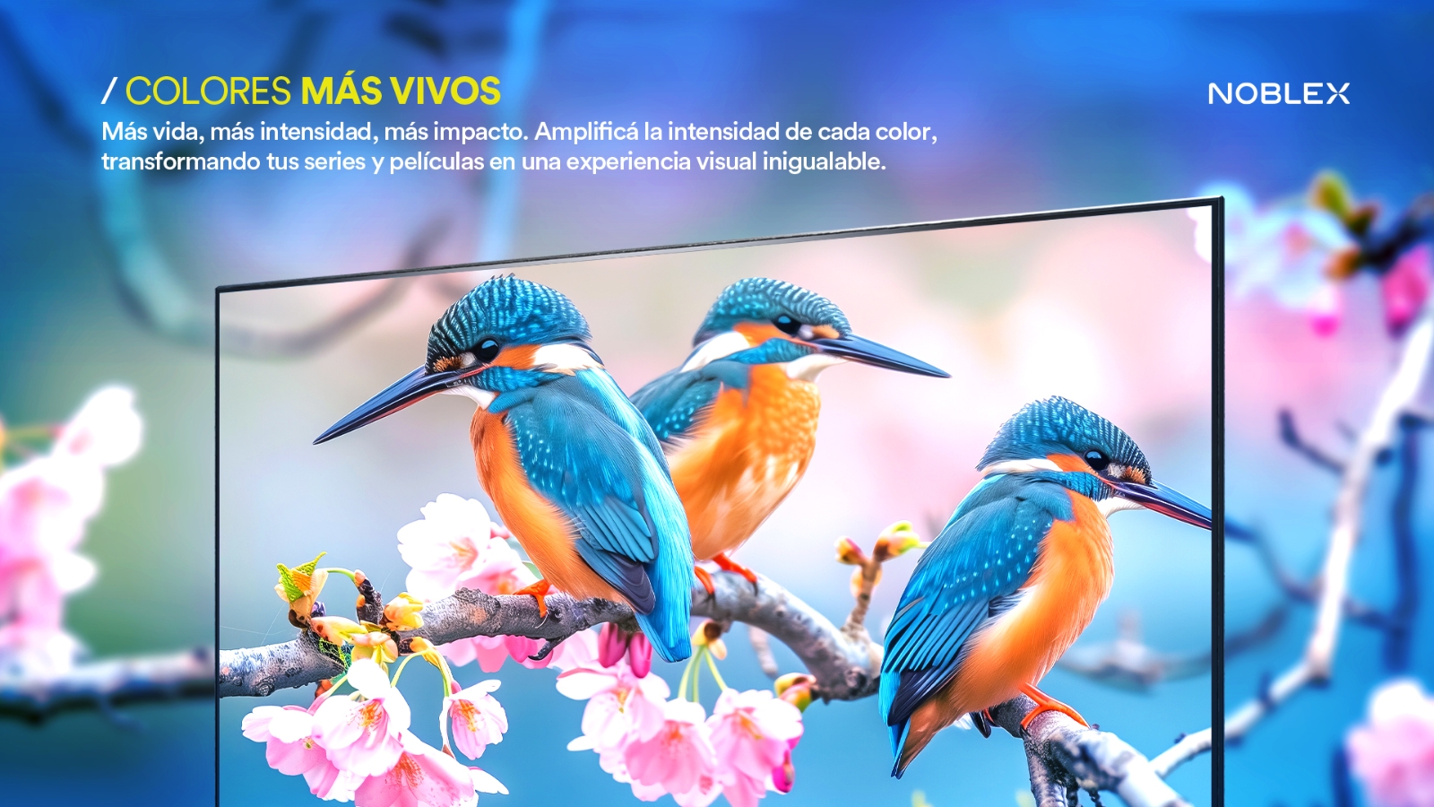 SMART TV 75" NOBLEX - GOOGLE TV Lifestyle